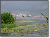 IMG_3977